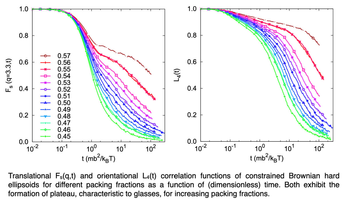 Translational and orientational correlation functions of constrained Brownian hard ellipsoids for different packiing fractions