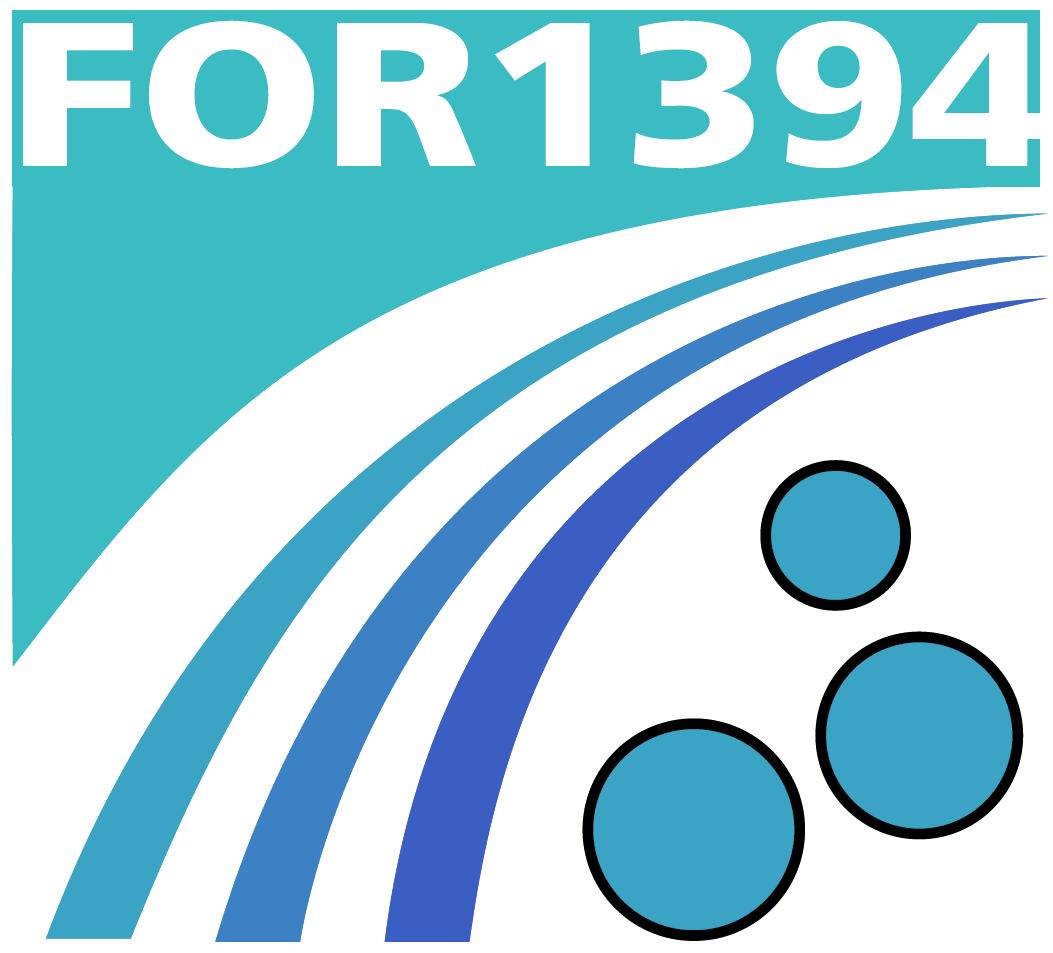 Logo of DFG Research Unit (Forschergruppe) FOR1394 