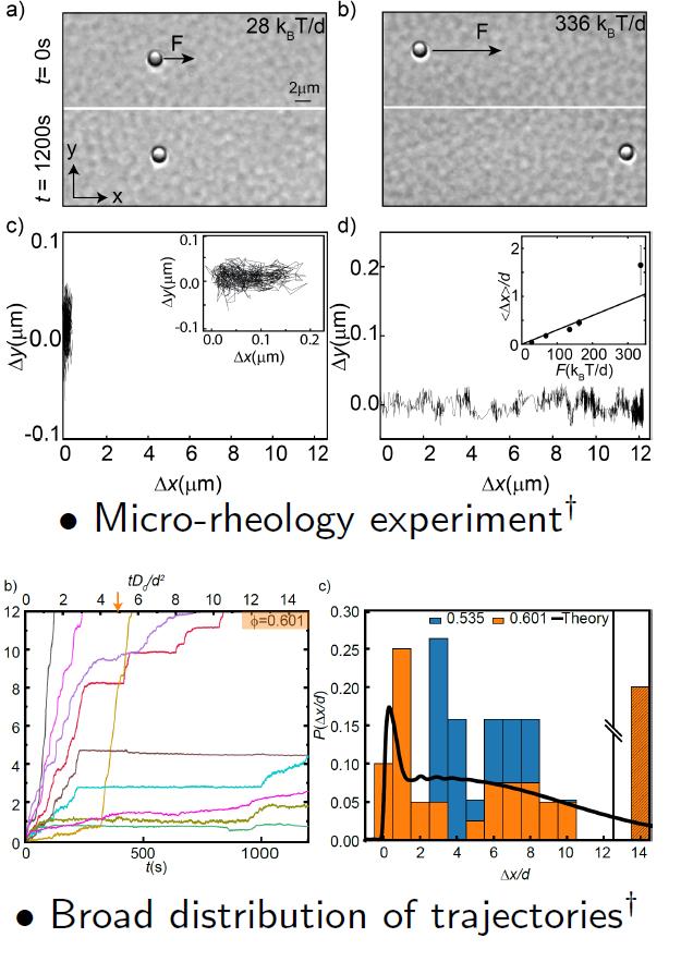 Micro-rheology experiment and broad distribution of trajectories